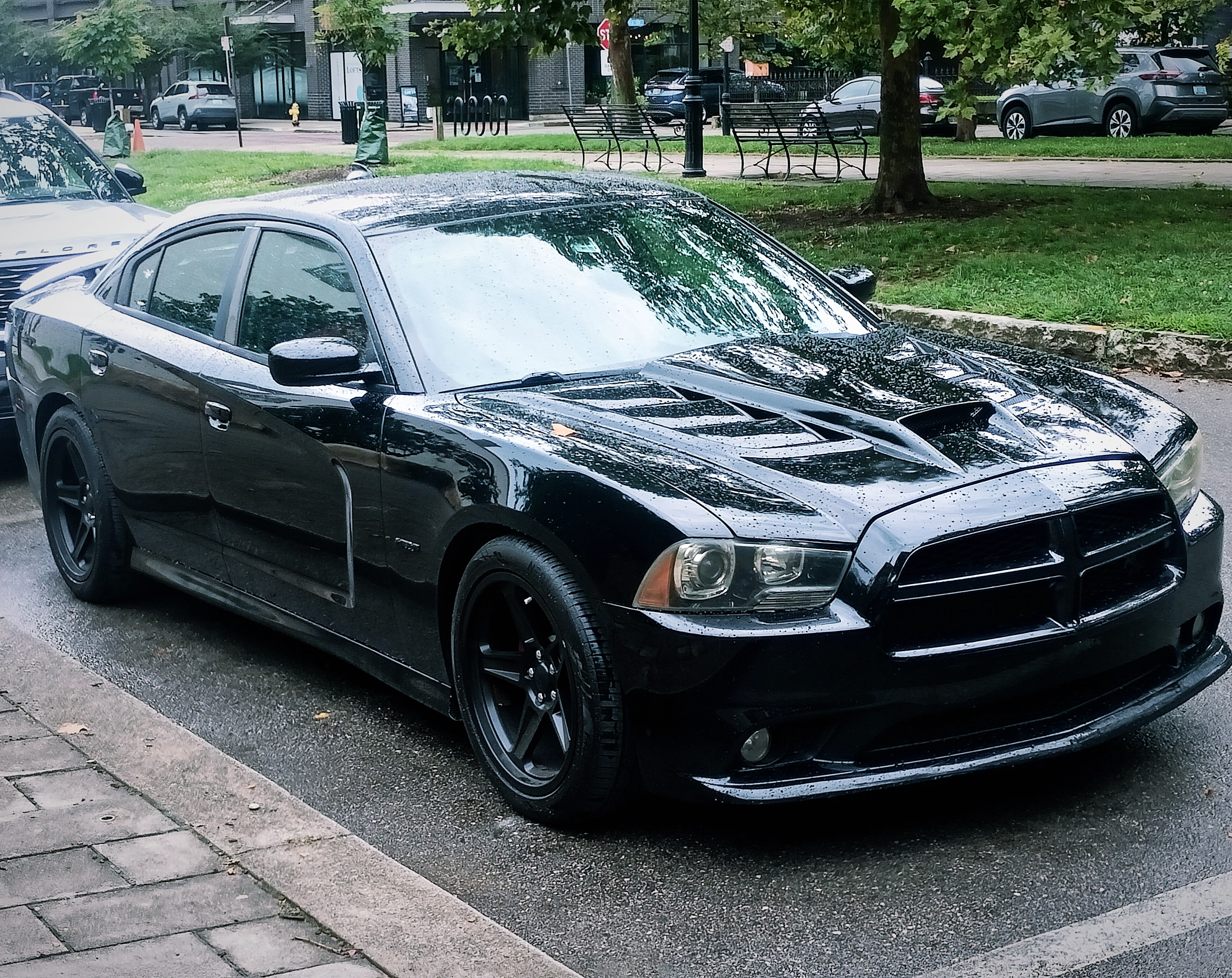 Black Widow 